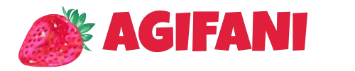 Logo agifani.com